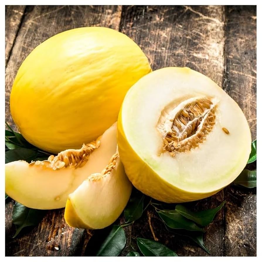 Crenshaw Melon (Muskmelon / Winter Melon / Crenshaw) Cucumis Melo Fruit Seeds