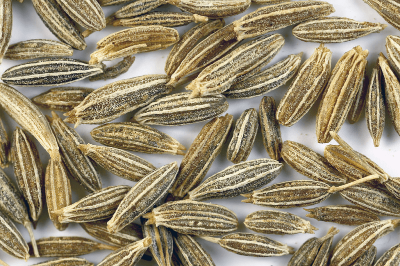Cumin Seeds (Cuminum cyminum)