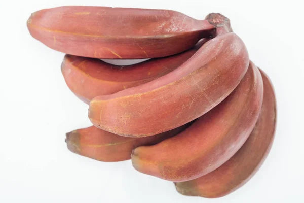 Brown Banana Seeds for Planting - Grow Fresh Bananas at Home