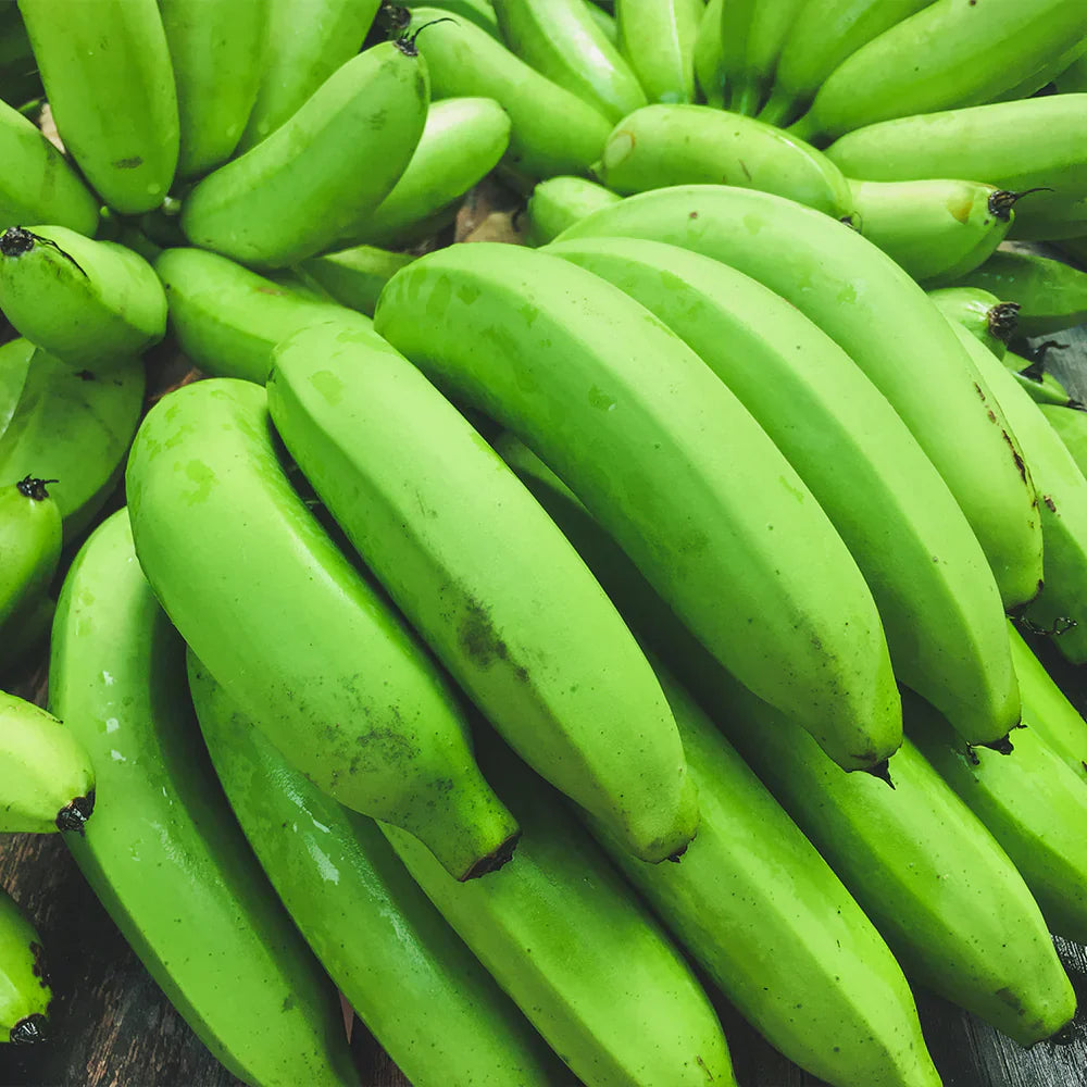 Dark Green Banana Fruit Seeds for Planting - Grow Your Own Tropical Bananas