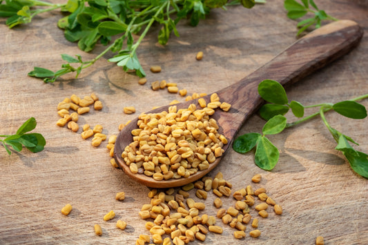 fenugreek seeds for garden Fenugreek Trigonella Foenum Graecum Herb Flower Seeds Organic Garden Seeds  – Pure Asia Seeds
