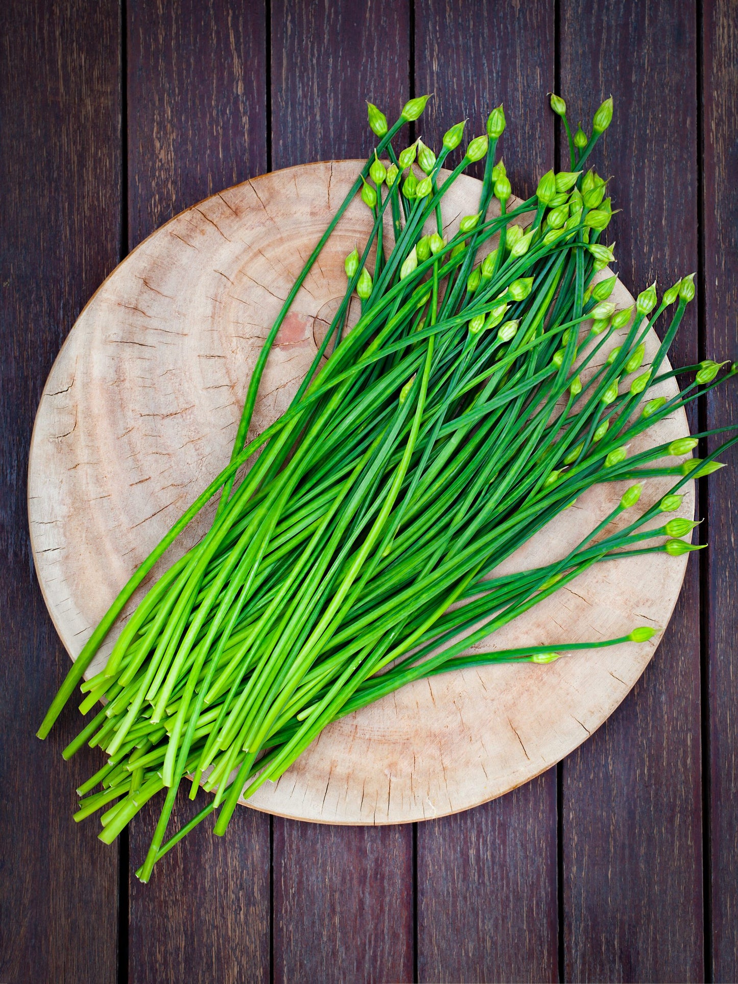 Chinese Leek (Oriental Garlic / Garlic Chives / Chinese Chives / Flat Chives) Allium tuberosum Vegetable Seeds