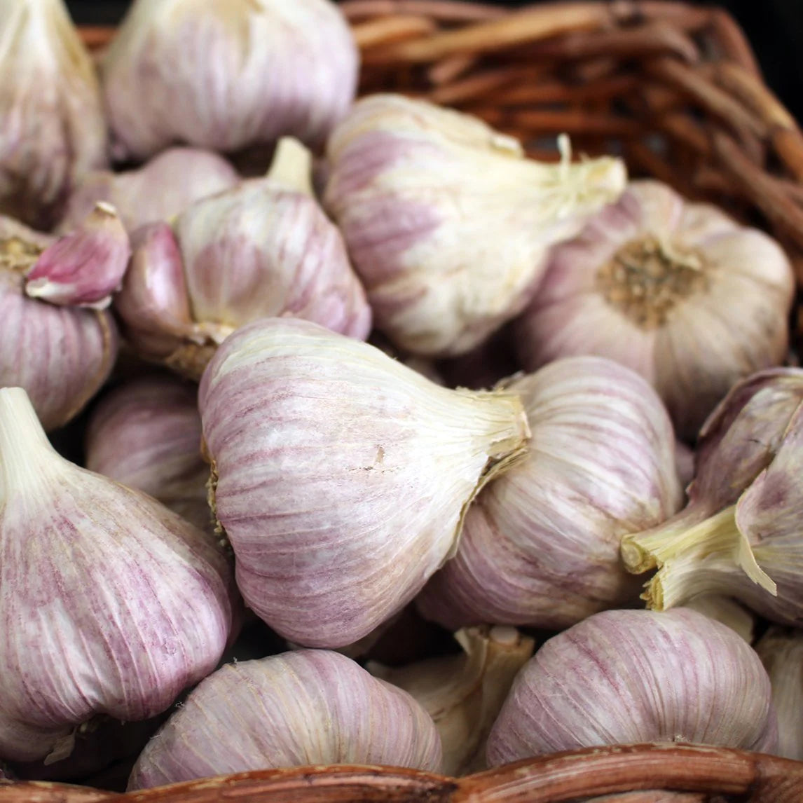 Mixed Colour Garlic Vegetable Seeds