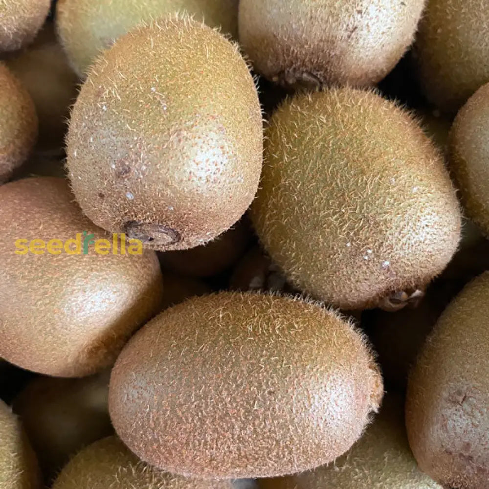 kiwi seeds for planting Green Kiwi Fruit Planting Seeds For Home Gardening