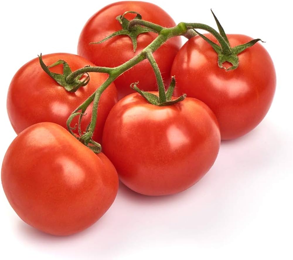 Heirloom Tomato Homestead Bulk Seeds for Home Gardens