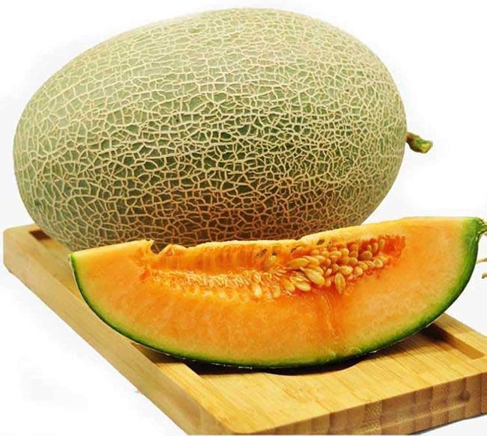 Brown Cantaloupe Melon Seeds for Planting