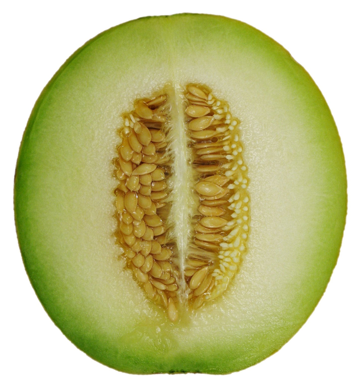 Honeydew Melon Cucumis melo Fruit Seeds for Planting for Vegetable Patch