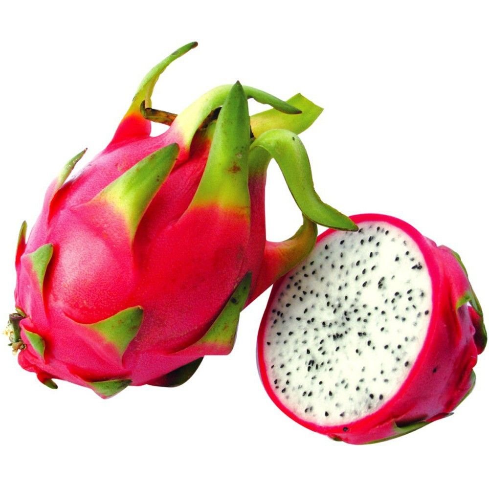 White Pitaya Seeds – Hylocereus undulatus Britt Dragon Fruit Seeds