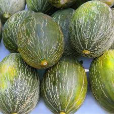 Semi di frutta melone Piel de Sapo