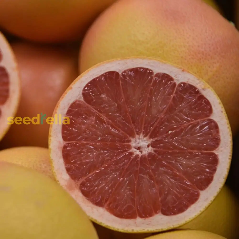 Red Grapefruit Seeds for Planting - Grow Delicious Citrus Fruits at Home