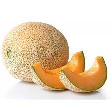Iroquois Cantaloupe Melon (Cucumis melo) Fruit Seeds