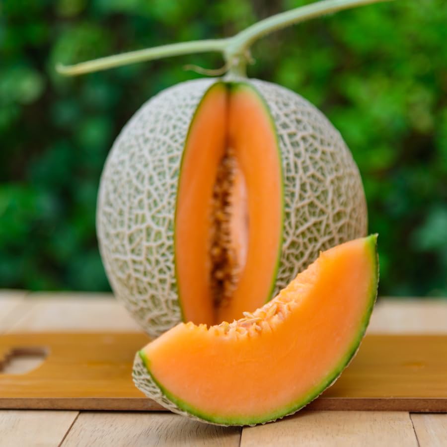 Muskmelon Seeds for Planting Cucumis Melo fruit garden vegetable patch