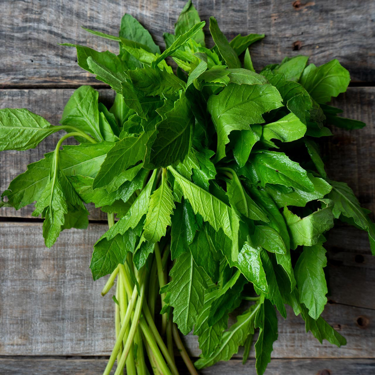 Epazote (Organic) Seeds (Dysphania ambrosioides)