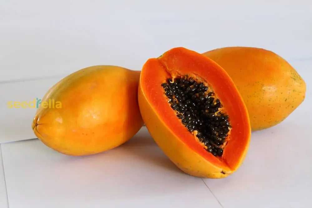 organic papaya seeds for planting Orange Papaya Seeds For Planting Grow Your Own Fruit Organic Garden Seeds –  Pure Asia Seeds