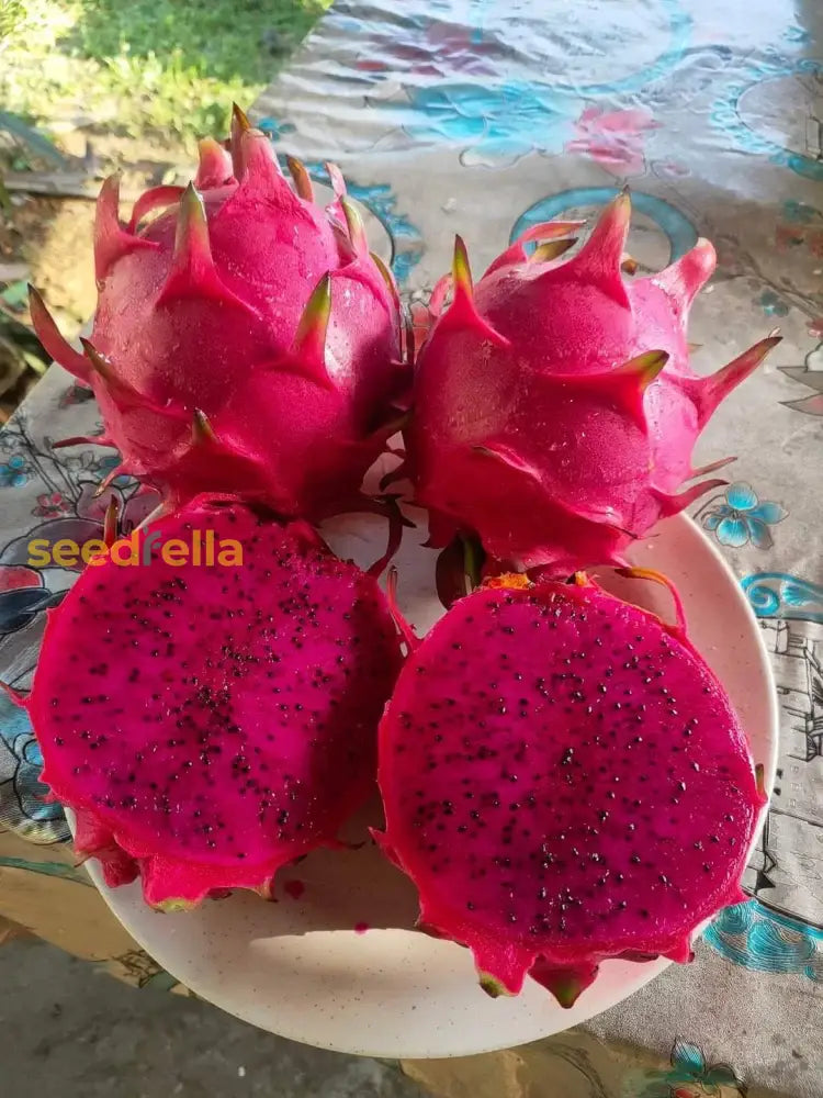 Pink Pitaya Seeds for Planting Grow Your Own Delicious Dragon Fruit