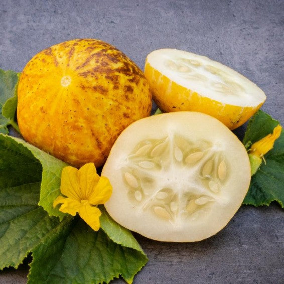 Lemon Cucumber Seeds – Cucumis Sativus Fruit Vegetable