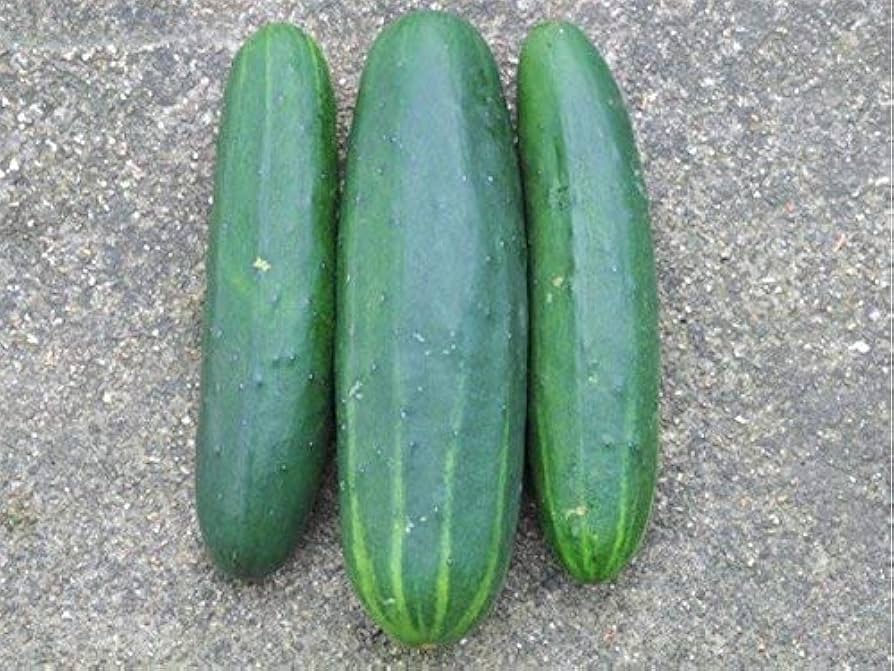 Marketmore 76 Slicing Cucumber (Cucumis Sativus) Fruit Seeds