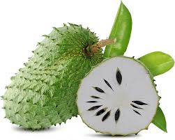 Tropical Soursop Seeds for Planting - Green & White Fruit