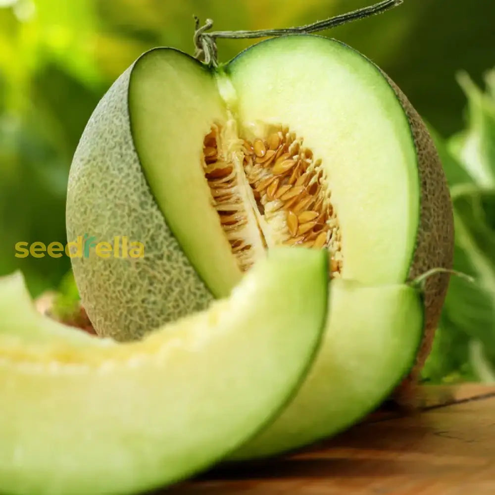 Rocky Ford Melon Planting Vegetable Seeds