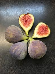 Madeira Fig Fruit Seeds for Planting | Grow Delicious Figs at Home