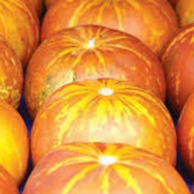Tigger / Tiger Melon (Cucumis Melo) Edible Muskmelon & Ornamental Vine Seeds