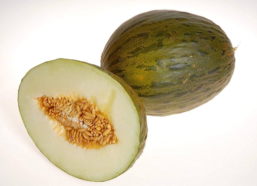 Krötenhaut-Melonensamen