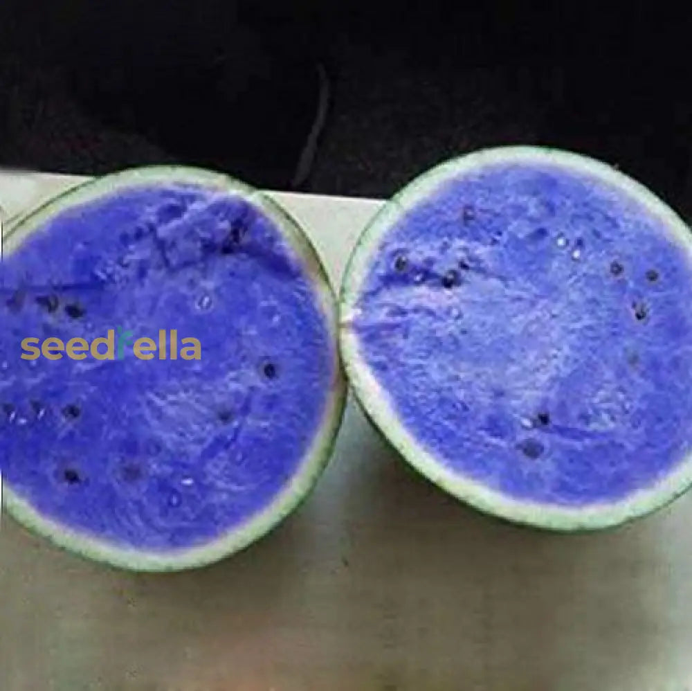 Blue Watermelon Seeds for Planting | Unique Watermelon Variety for Your Garden