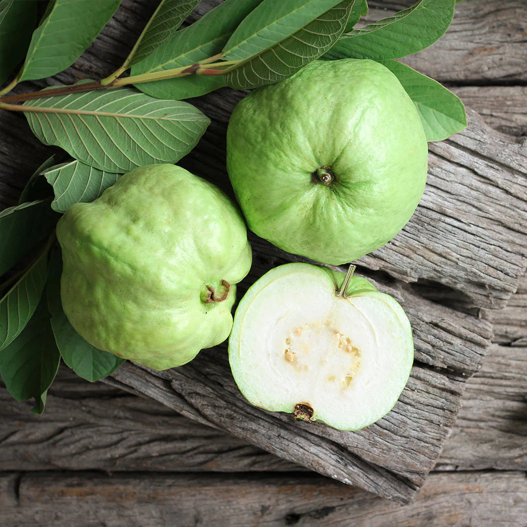 Guava White Tropical Fruit Seeds