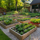 How to Start a Vegetable Garden from Scratch: A Step-by-Step Guide