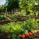 The Ultimate Guide to Organic Gardening at Home