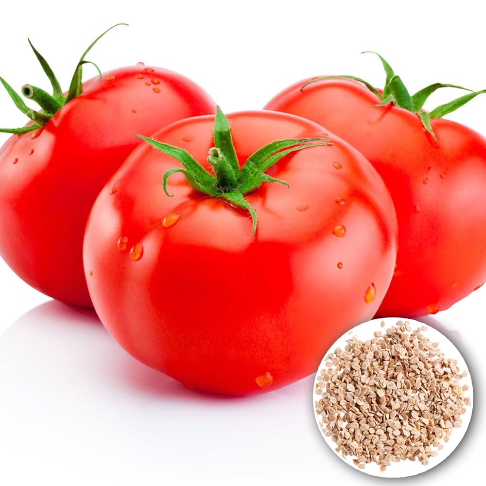 Tomato Seed Collection for Planting – Heirloom, Non-GMO, Variety Pack, High Yield
