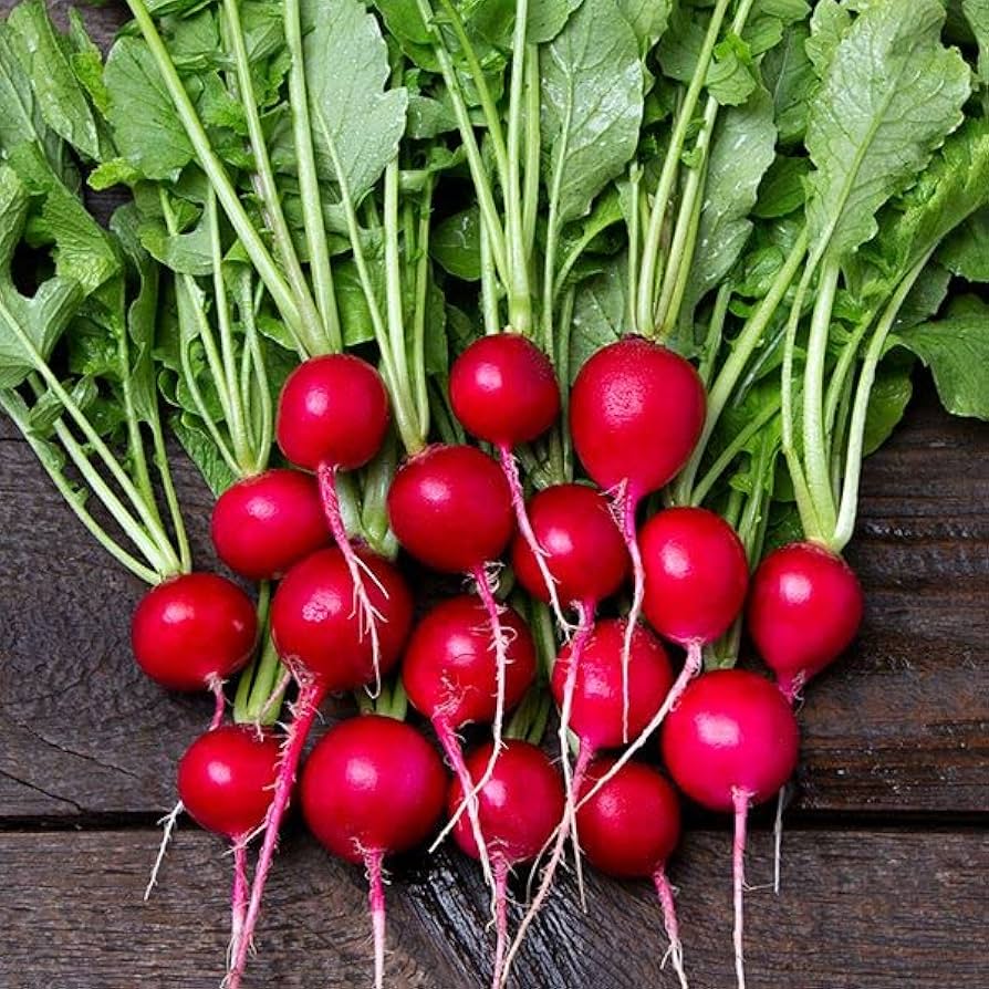 Mixed Color Radish Seeds