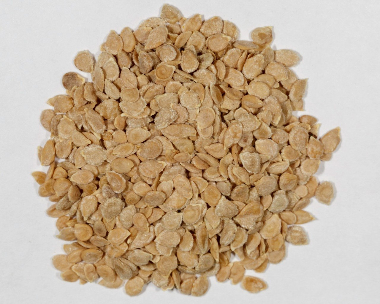 Tomato Seed Collection for Planting – Heirloom, Non-GMO, Variety Pack, High Yield