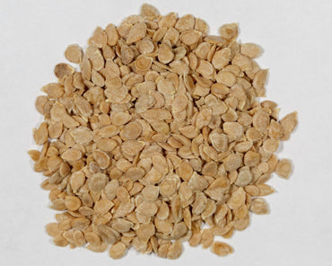 トマト種子コレクション – 植え付け用