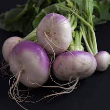 Collection de graines de navet et de rutabaga