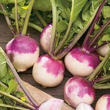 Collection de graines de navet et de rutabaga