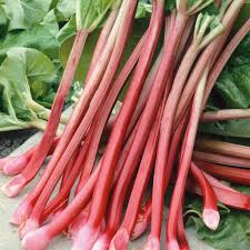 Graines de rhubarbe rares héritage