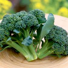 Semi di broccoli per piantare – Perfetti per giardini domestici
