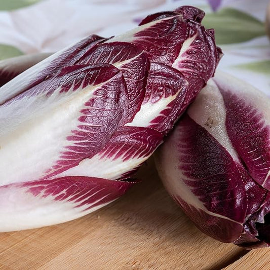 Graines de radicchio (chicorée) - rouge