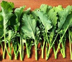 Semi di broccoli per piantare – Perfetti per giardini domestici