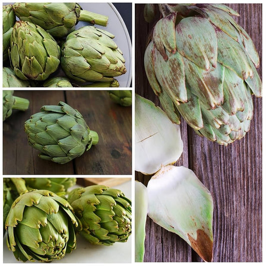 Semi di carciofo per giardinaggio