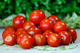 Kirschtomaten Samen Groß - Frische Gartensamen