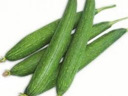 スポンジウリの種子 – ヘチマ野菜
