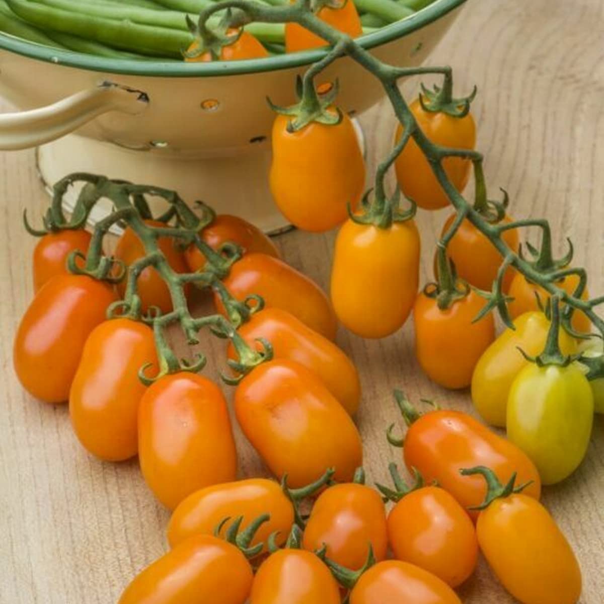 Tomato Seeds for Planting – Heirloom, Non-GMO, Vegetable Variety