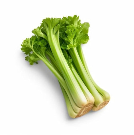 Celery Vegetable Seeds – Green Variety