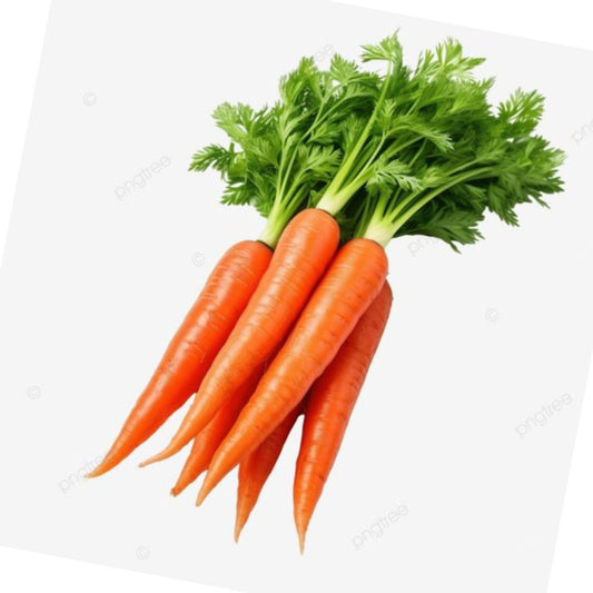 Heirloom Carrot Seeds – For Planting