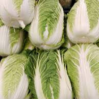 Graines de légumes de chicorée - blanc vert