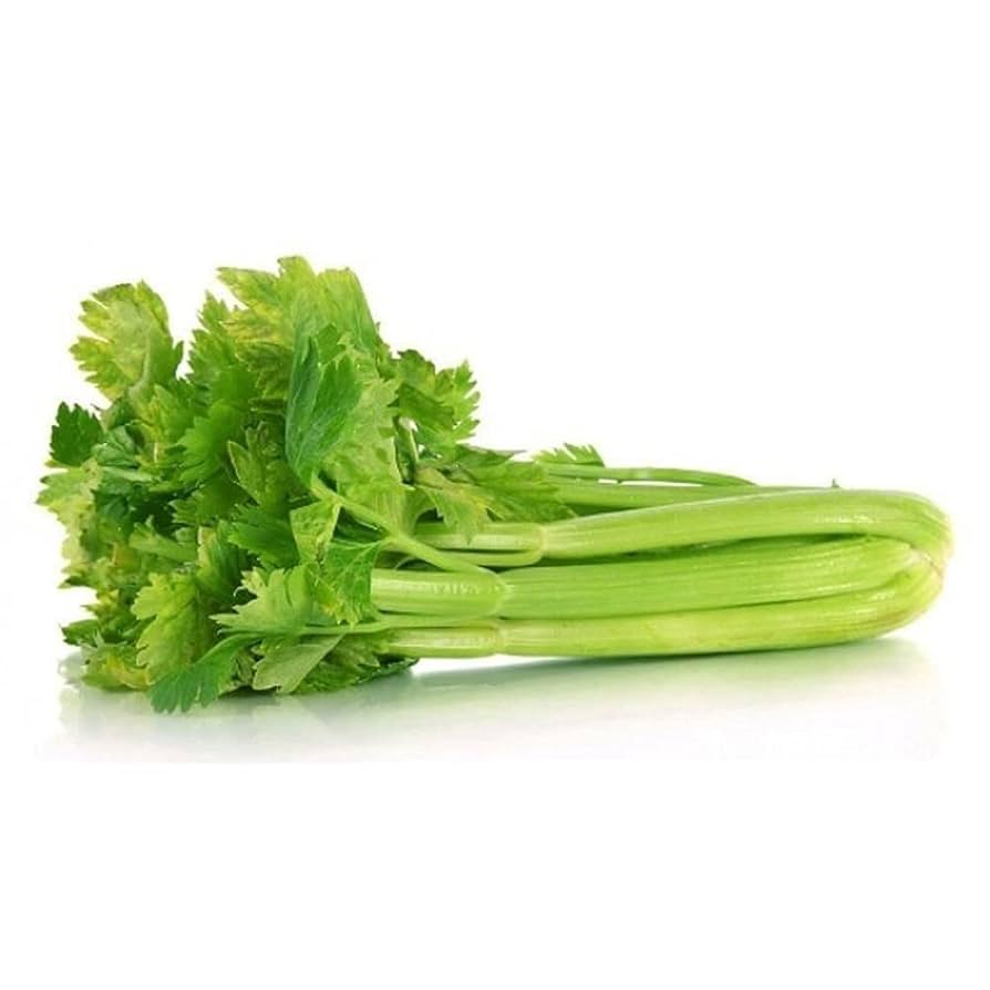 Celery Vegetable Seeds – Green Variety