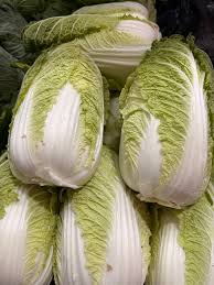 Graines de légumes de chicorée - blanc vert