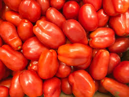 Garten San Marzano Tomatensamen